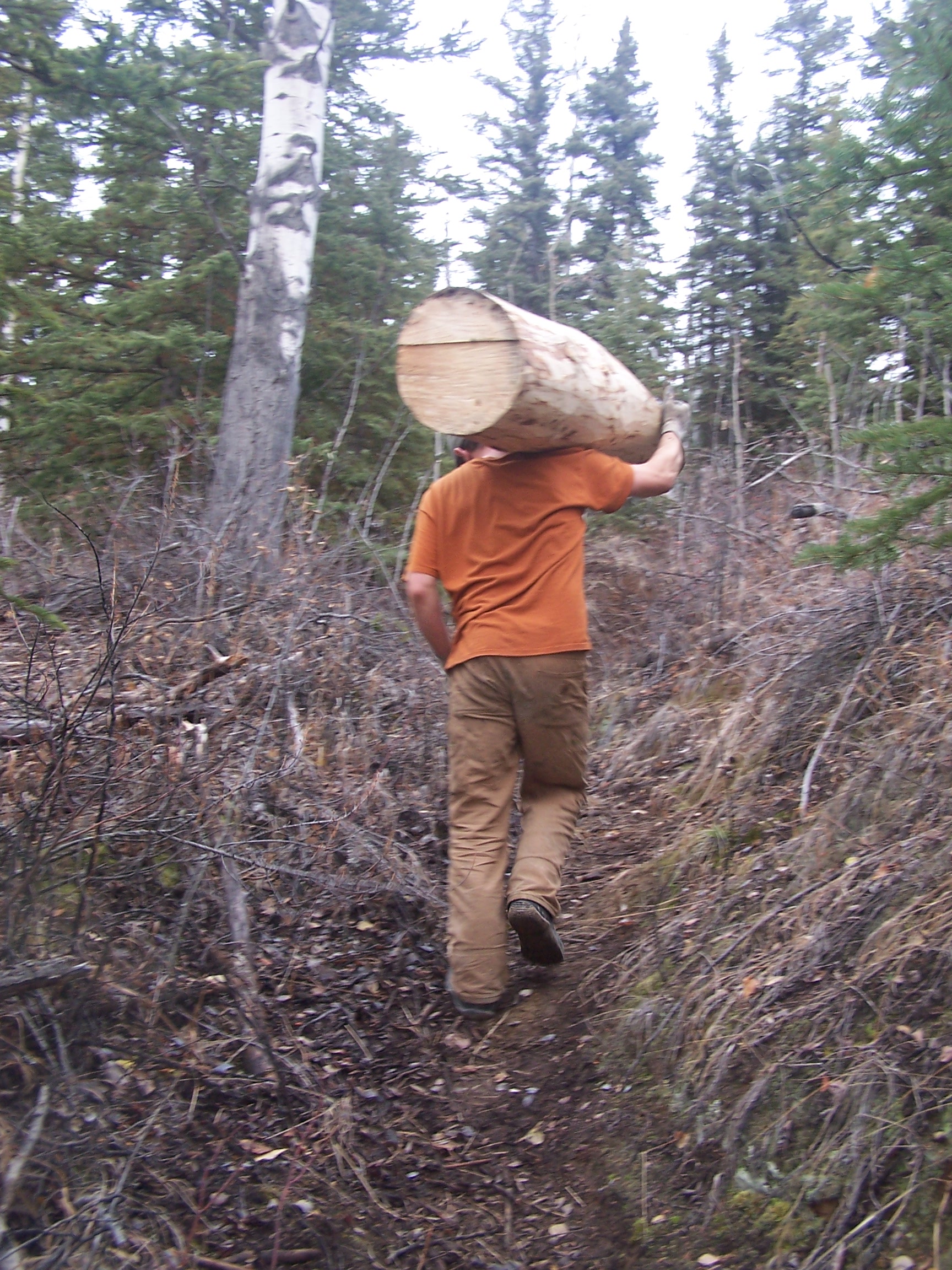 Hauling logs up the hill method 1- muscle powered.