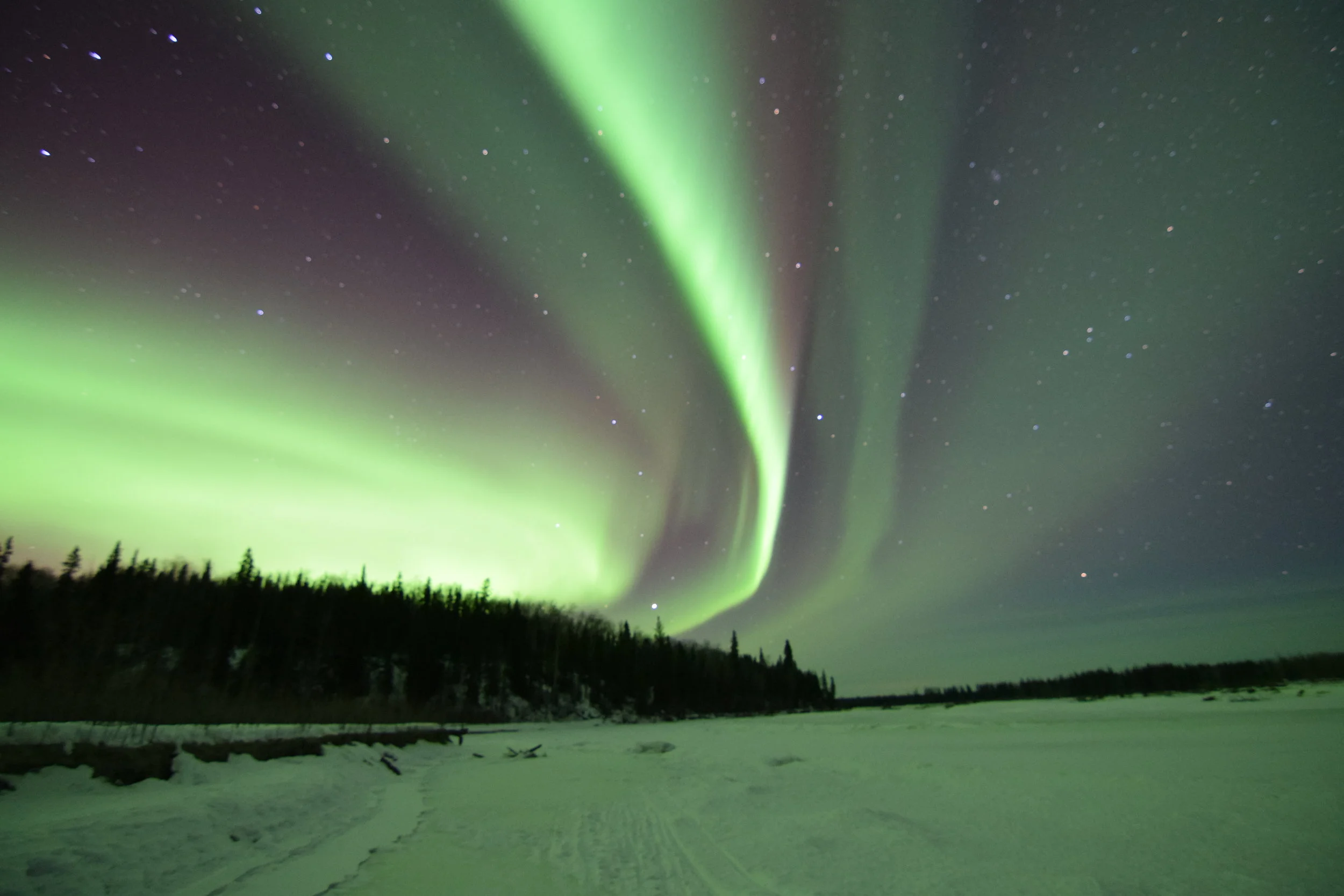 Boreal Journeys Alaska