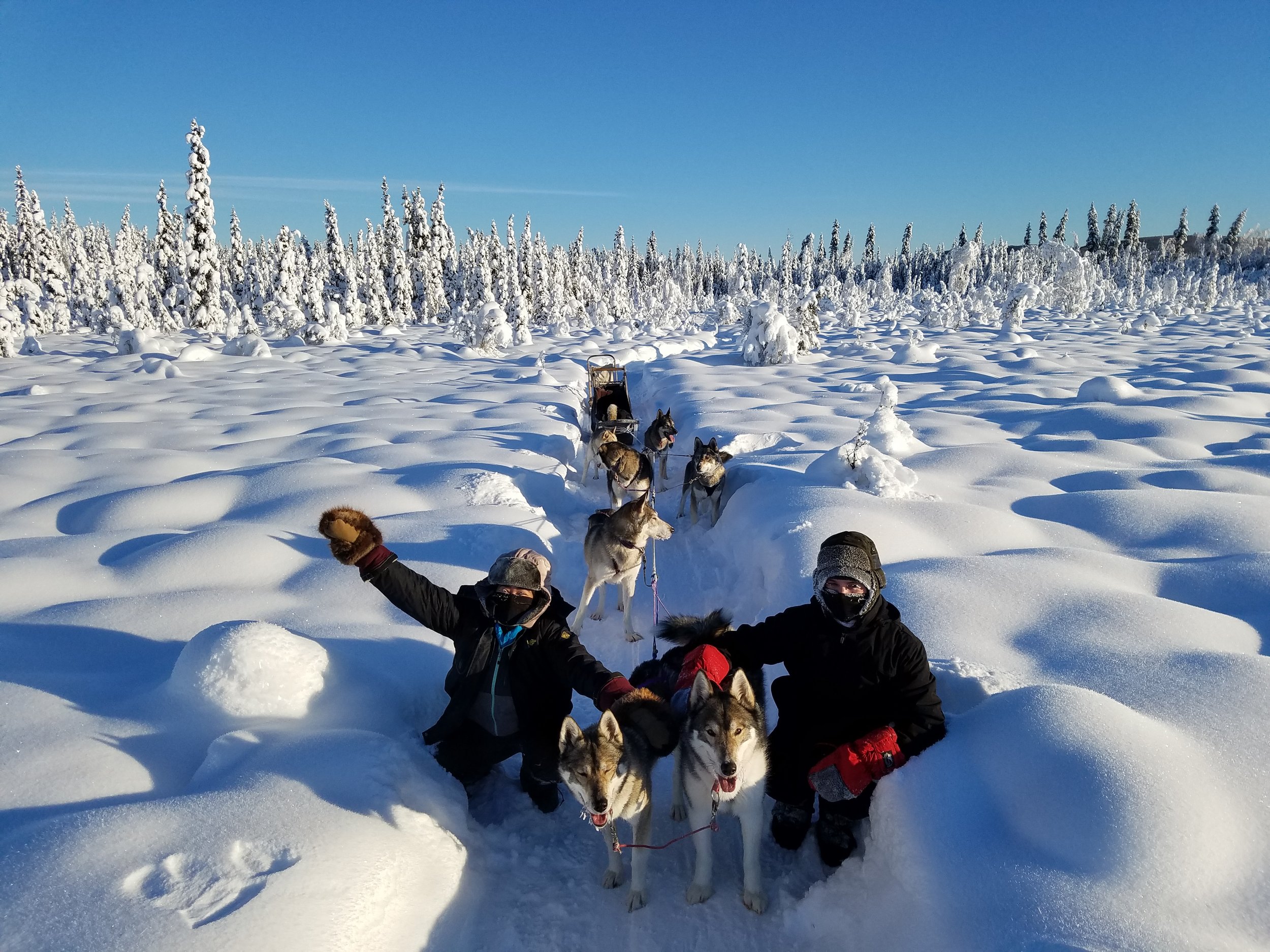 20180209_113724.jpg