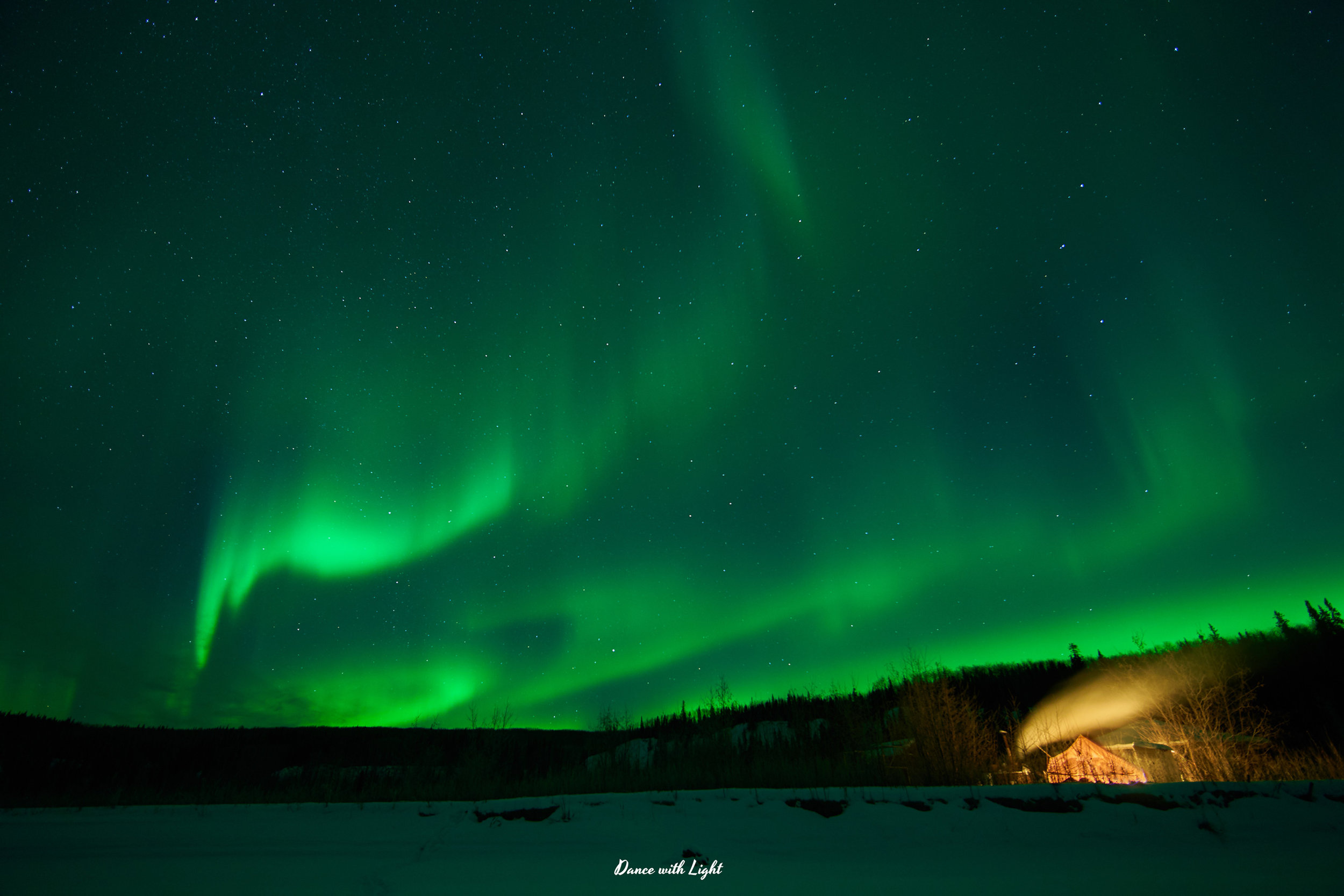 Alaska Homestead Adventures