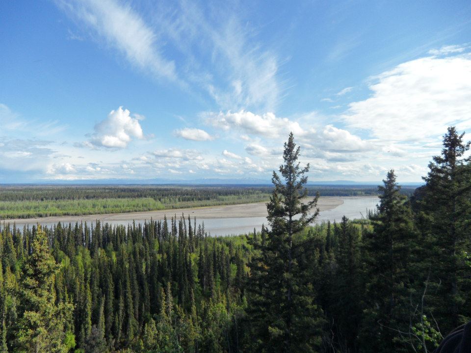 view of tanana from bluff.jpg