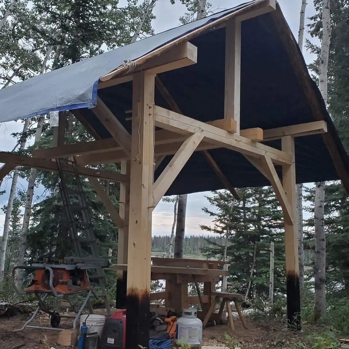 New smokehouse in the works- made from spruce we cut and milled into beams and Birch pegs.

#alaskahomestead #offgrid #timberframe #homesteadbuilding #building #smokehouse #bigenoughforamoose