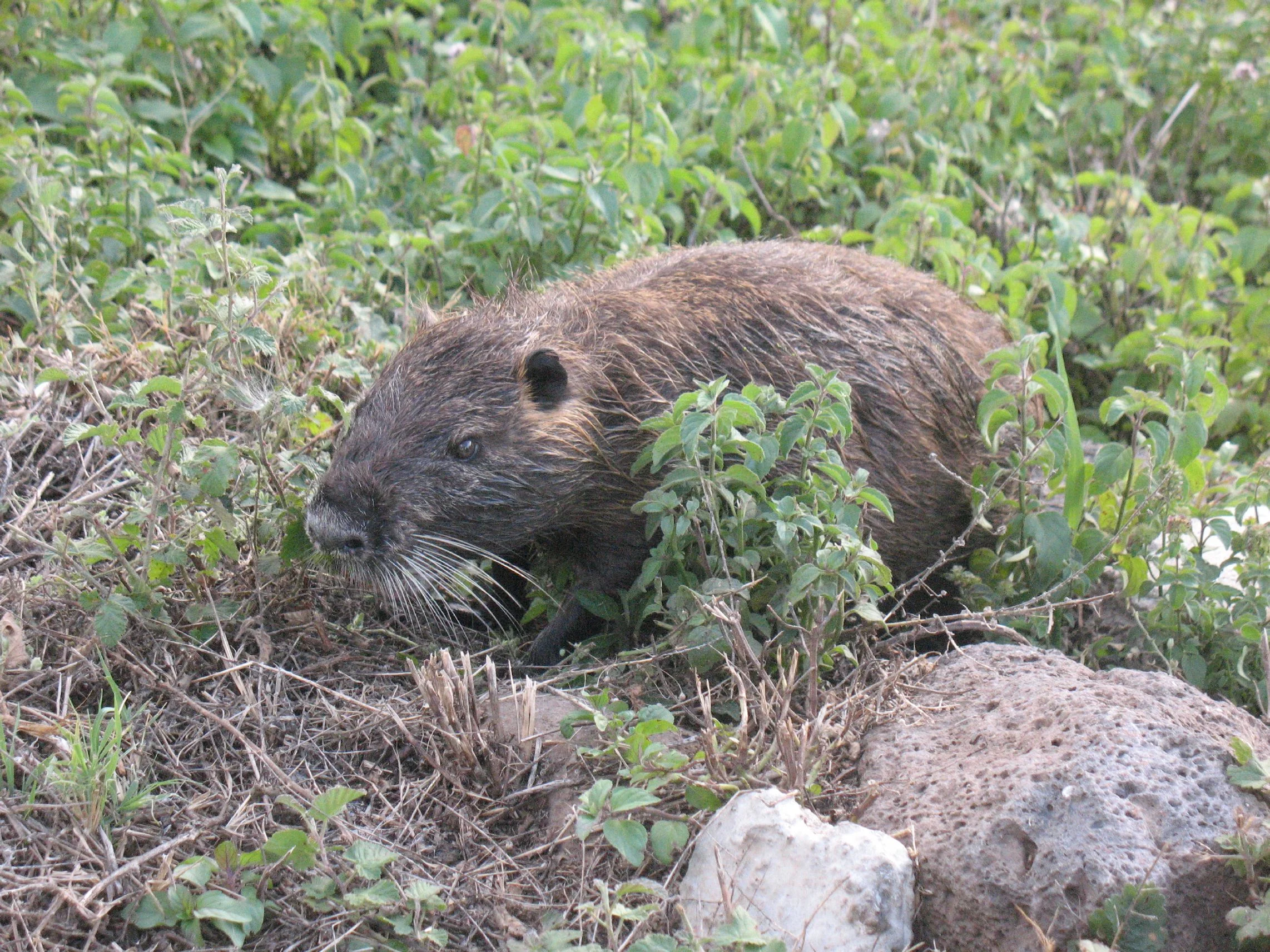 resized_Picture 352.jpg