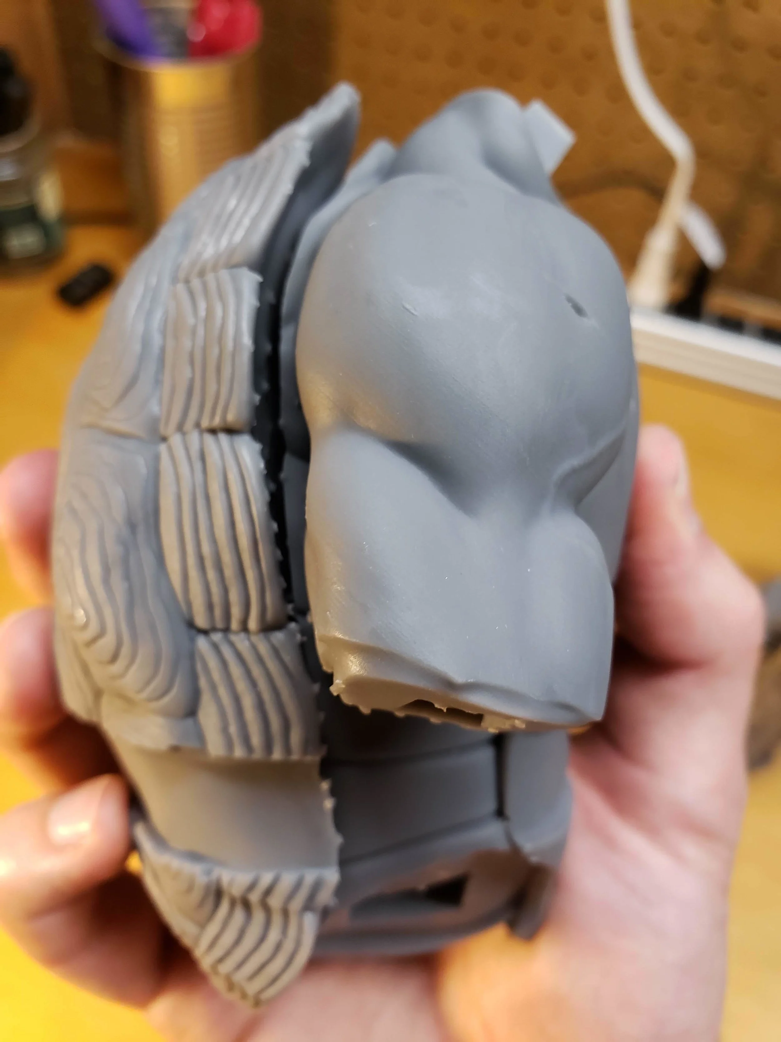 Ryan_Blake_TMNT_Merged.jpg