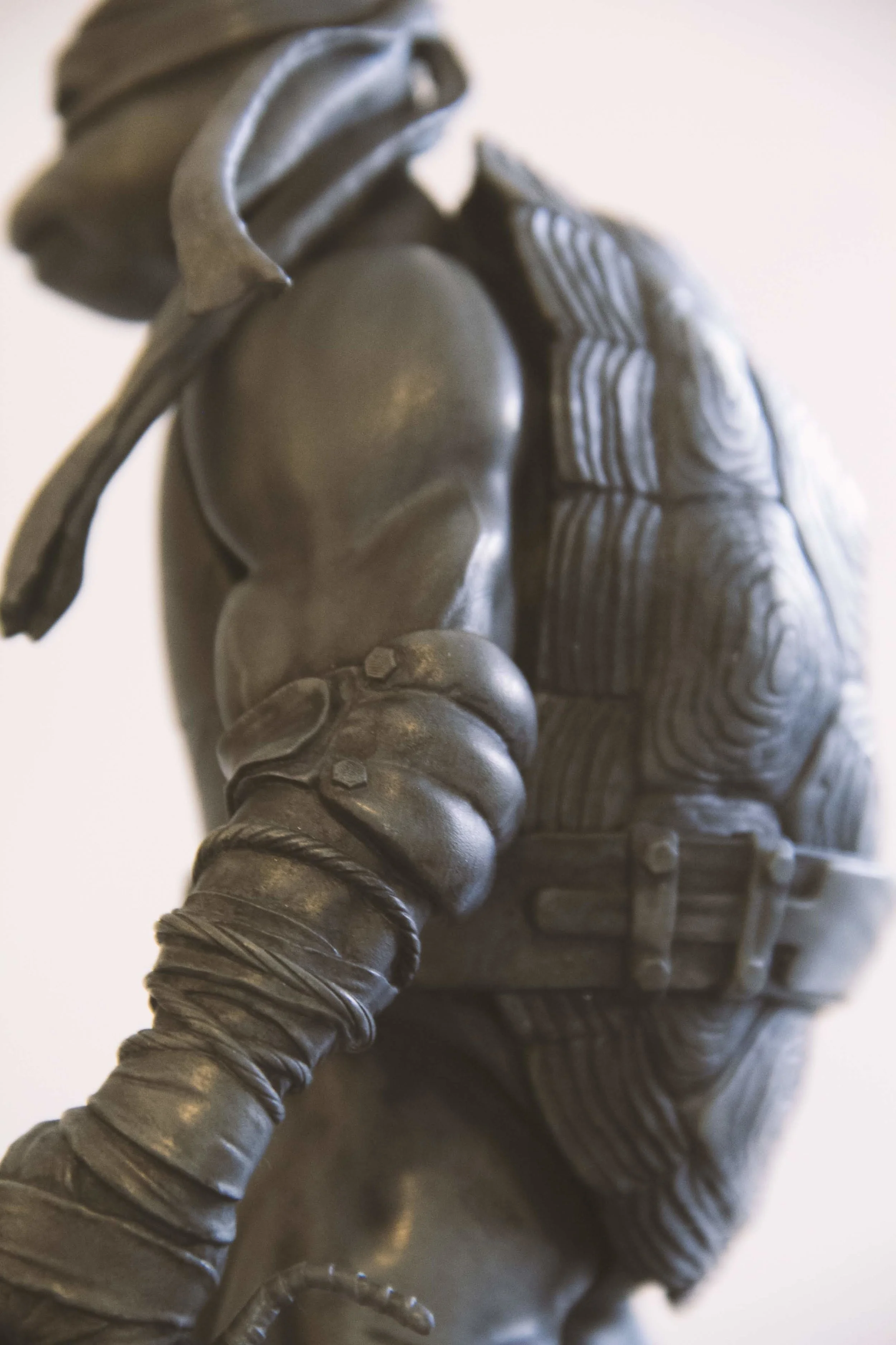 turtle shell instagram 010.jpg