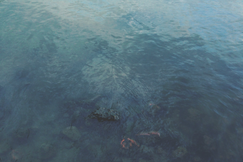 image_21.jpeg