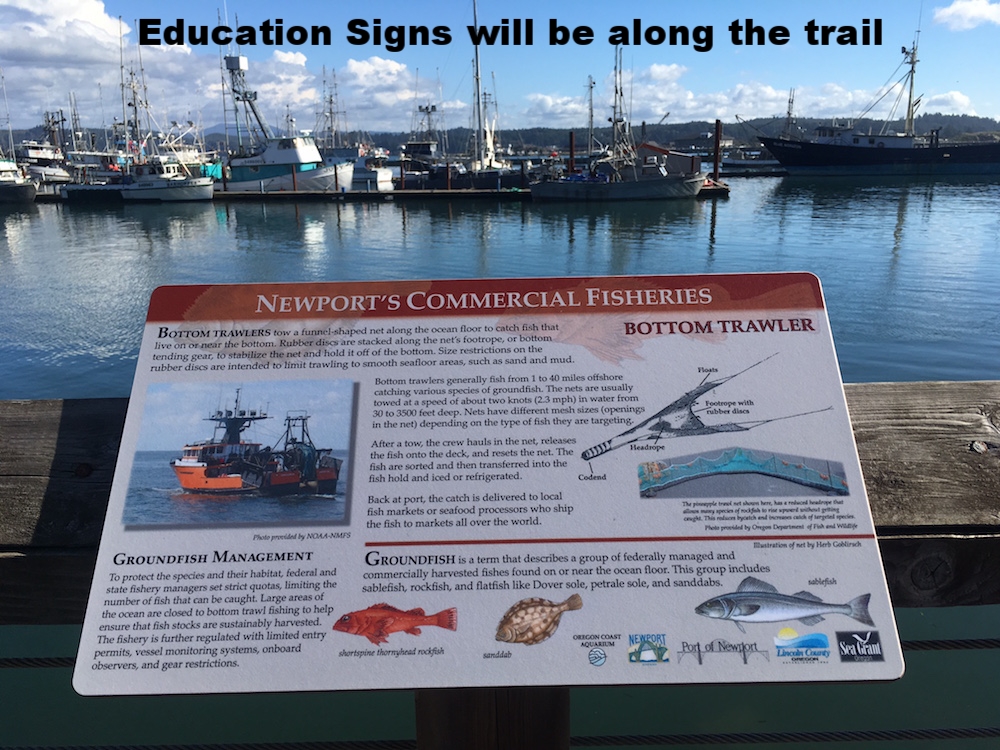 Newport-education-sign.jpg