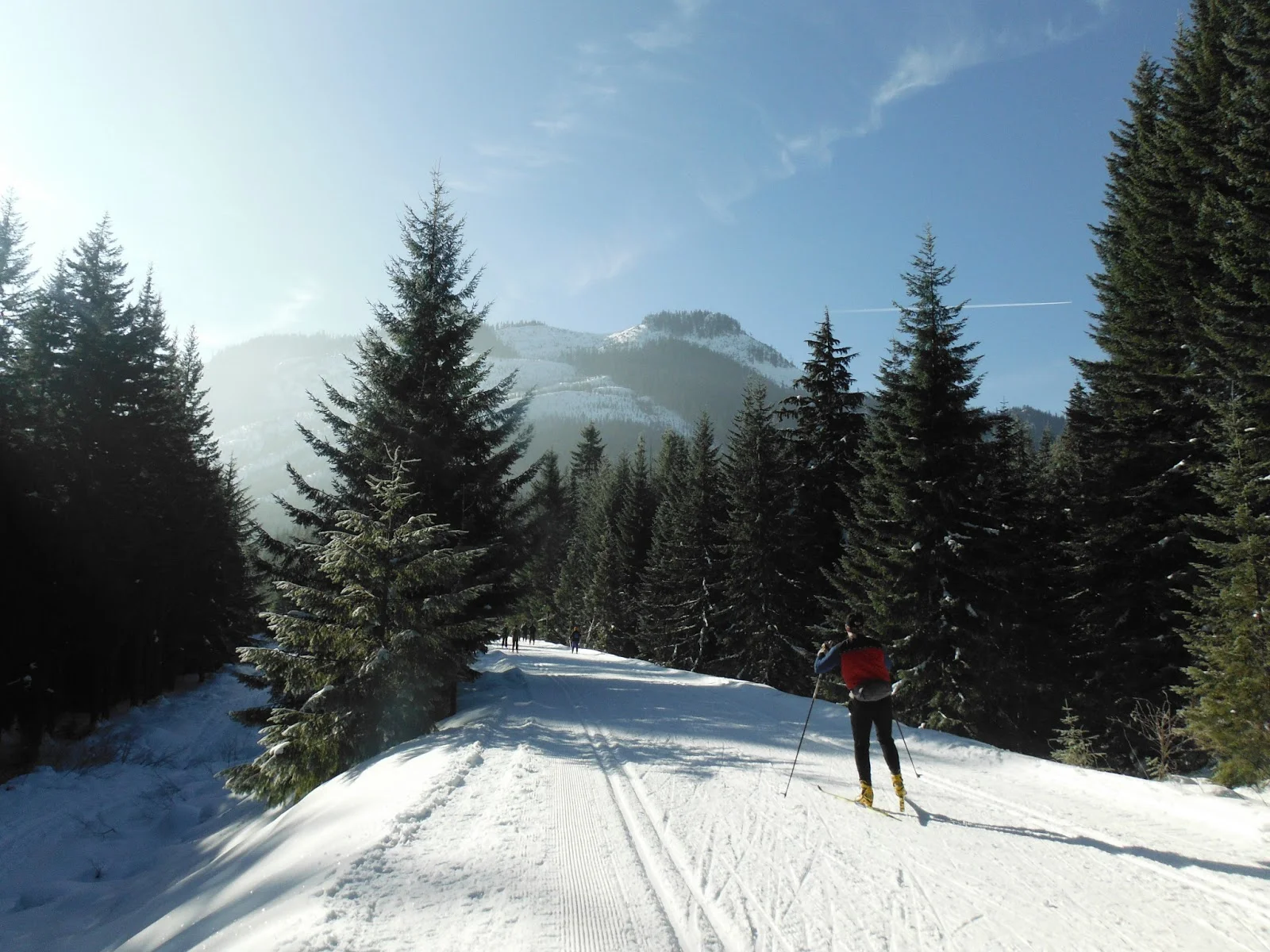 cross-country ski- rail with trail.jpg