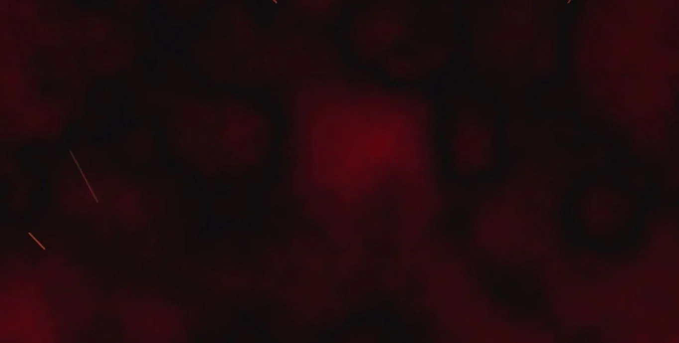 foggy particles snapshot.JPG