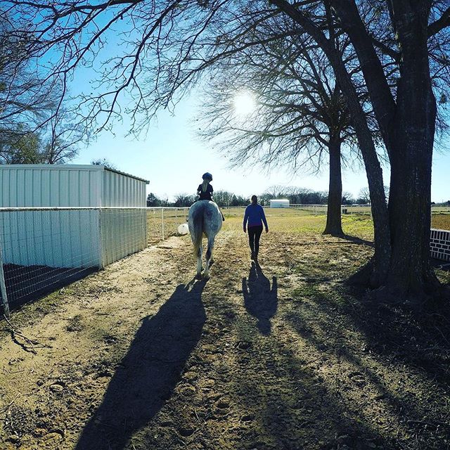 Beautiful day at the barn.