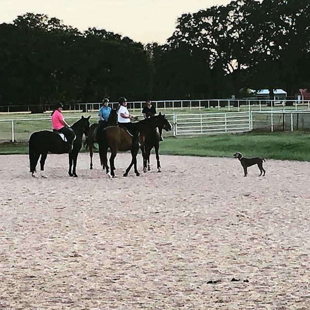 Friday nights at the farm with friends (day that 3 times fast) is the best way to end the week! @michellelcheney @mandylynne11