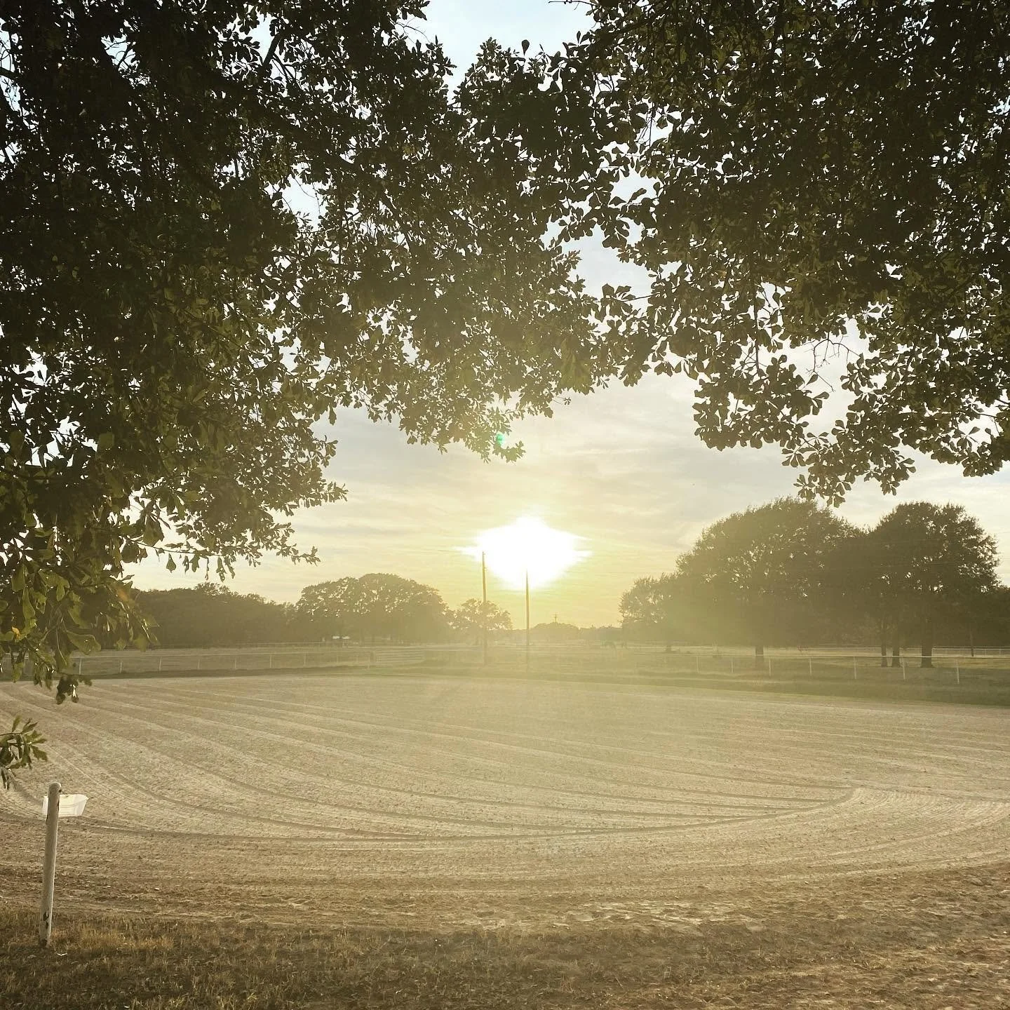 Outdoor.jpg