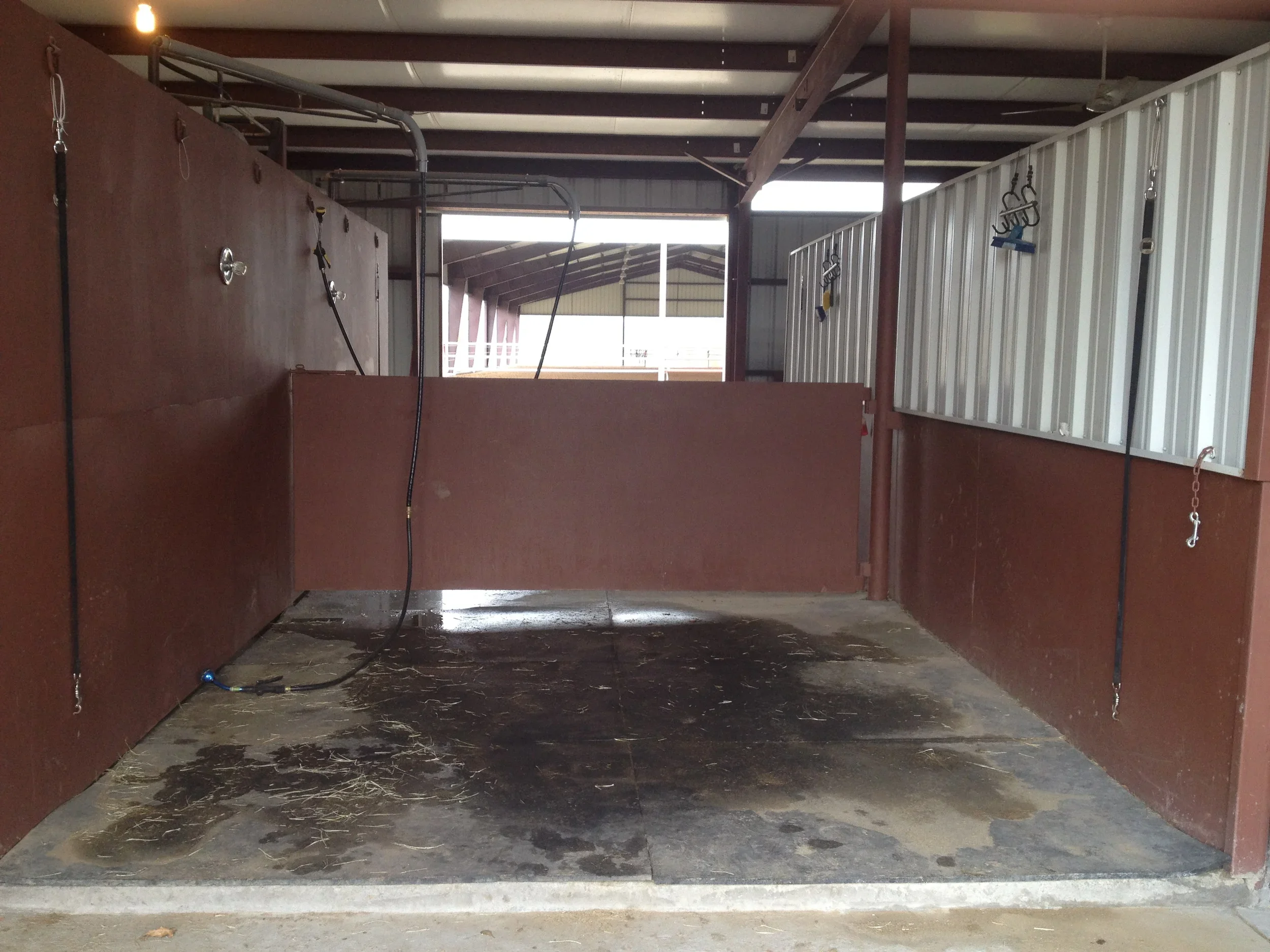 2013-03-10+15.21.34.webp