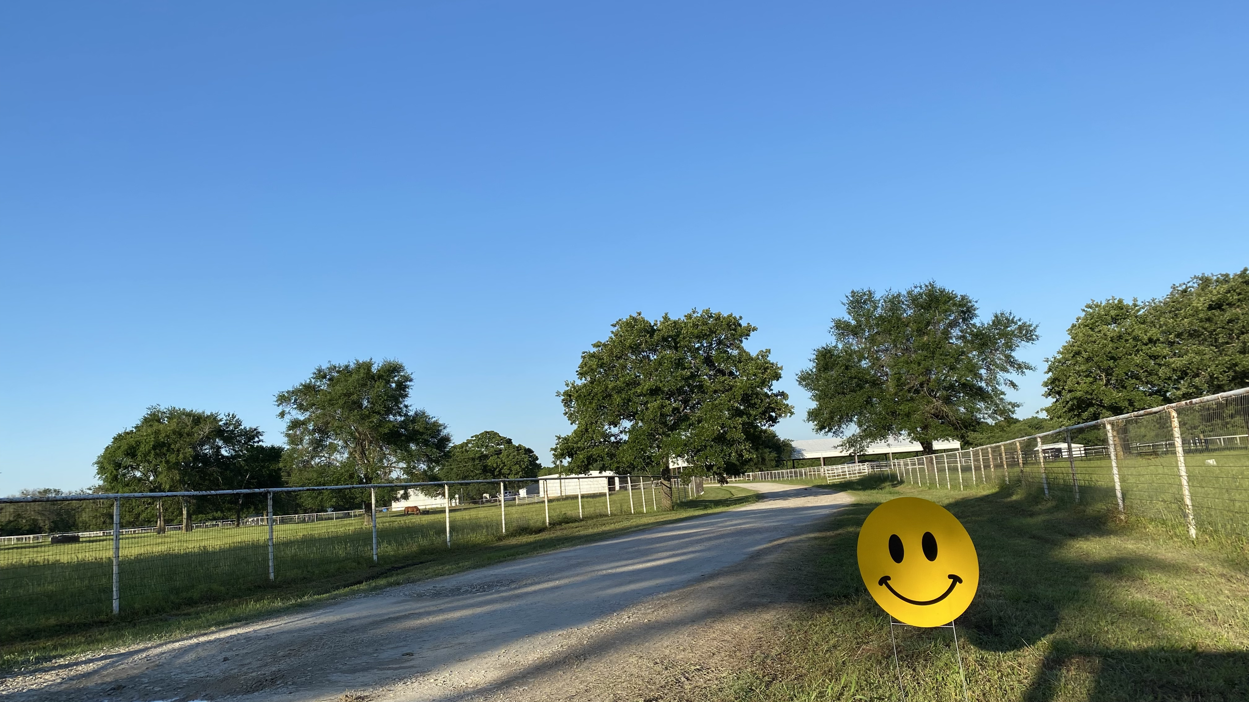 Smiley Face copy.png