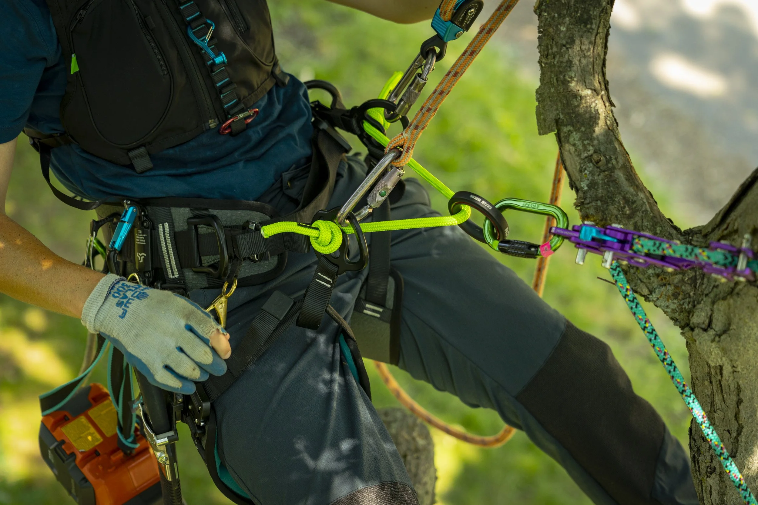 CATH - Catalyst Harness 05.jpg