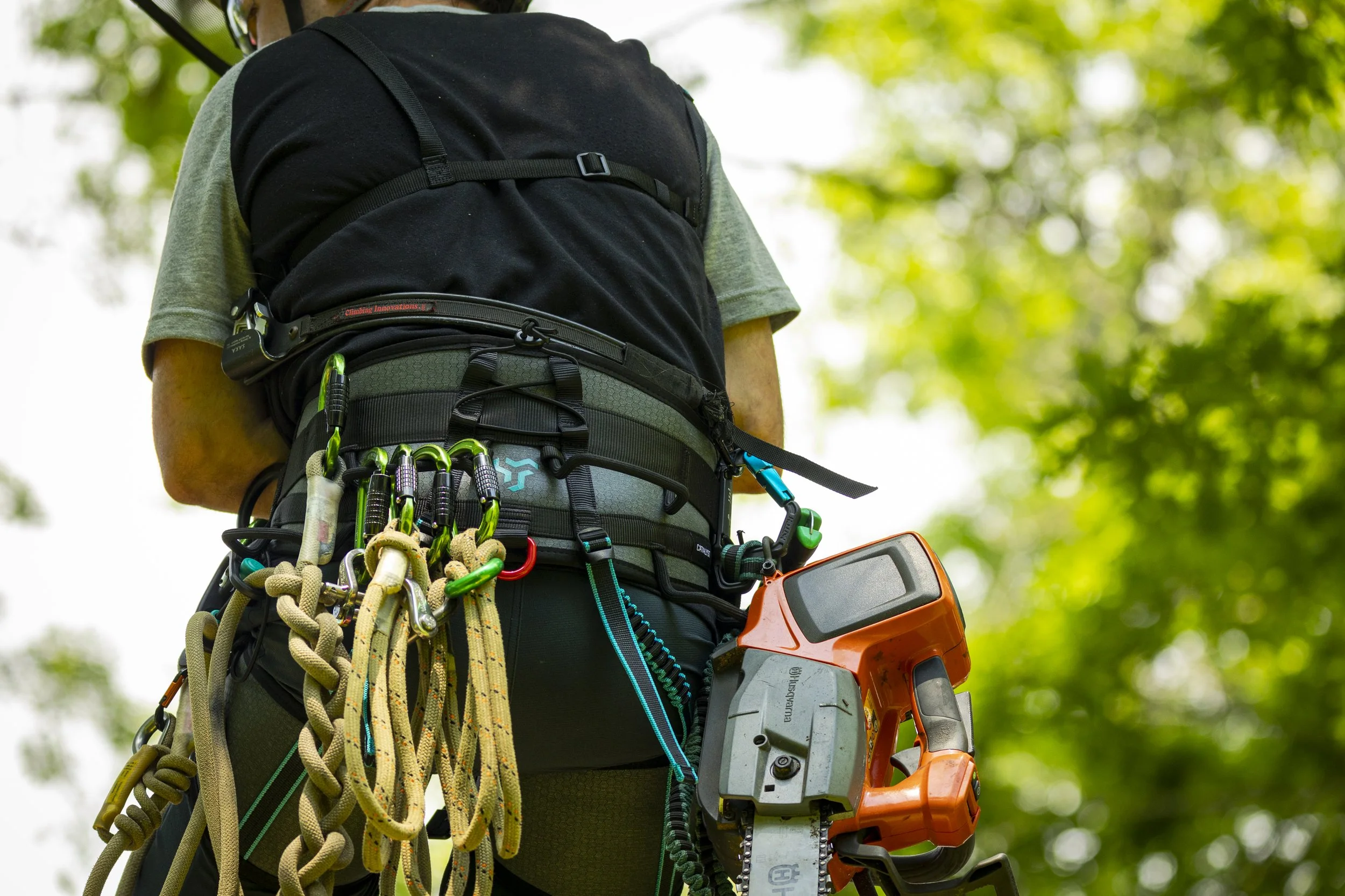 CATH - Catalyst Harness 06.jpg