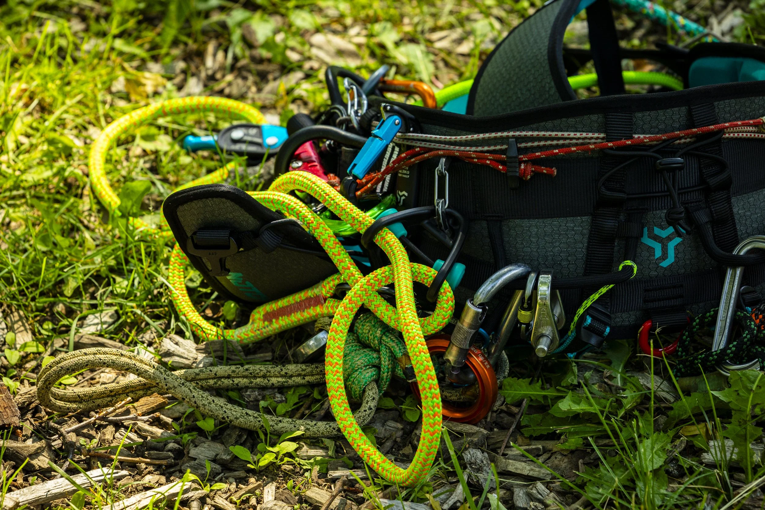 CATH - Catalyst Harness 07.jpg