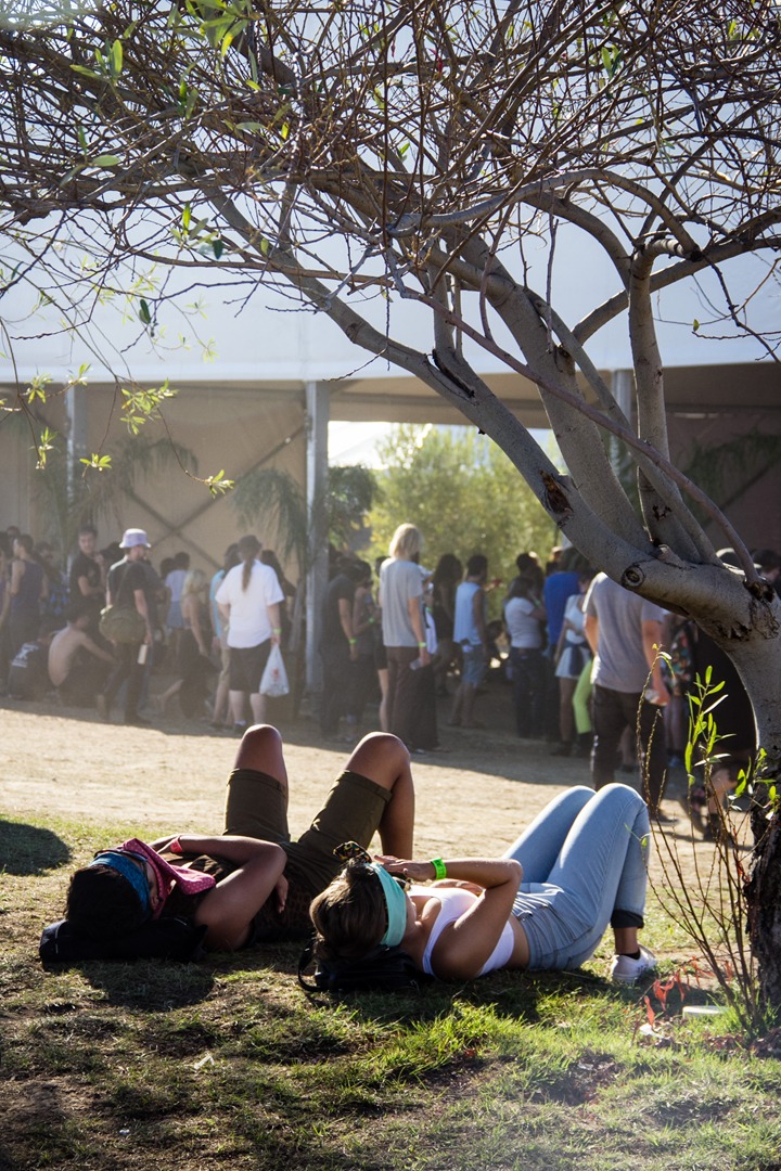 FYF 2013
