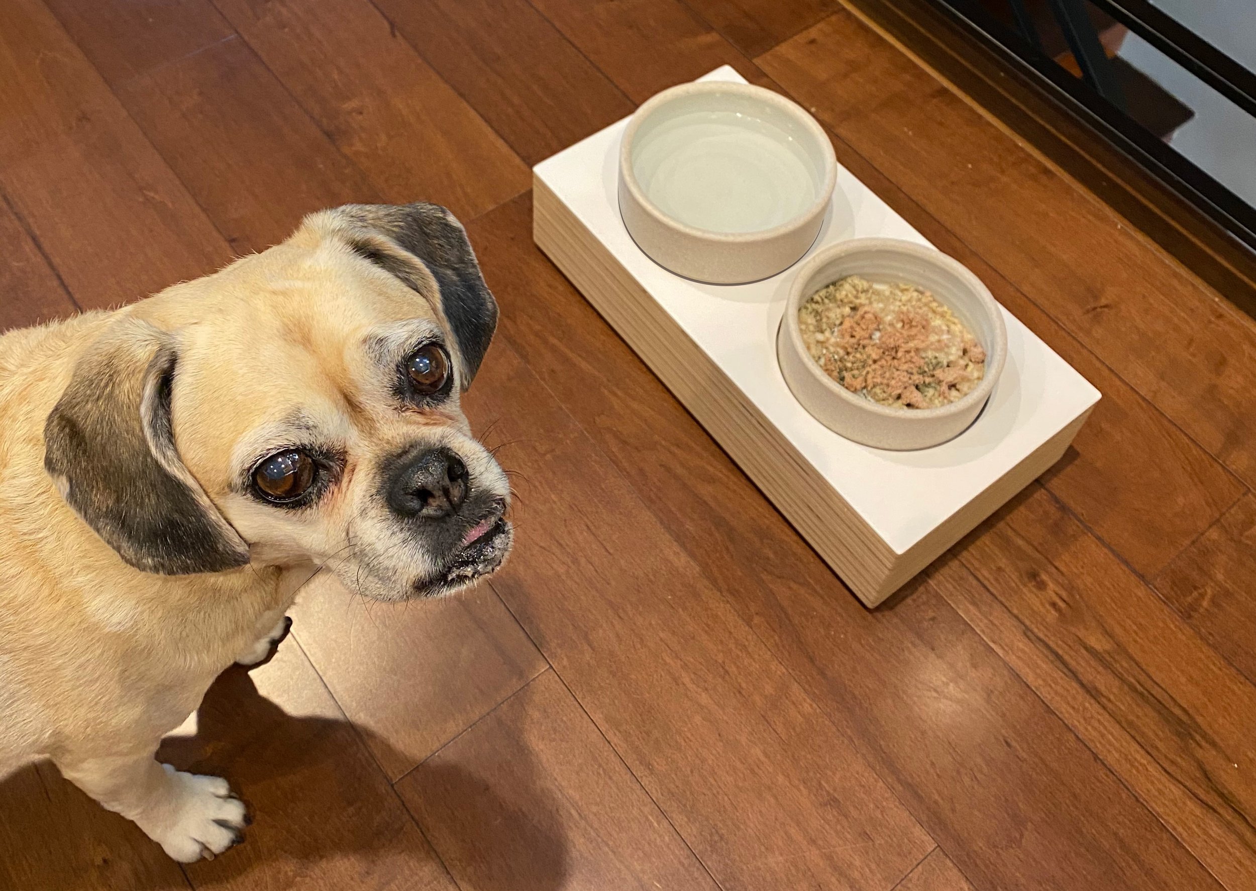 Dog Bowl Stand