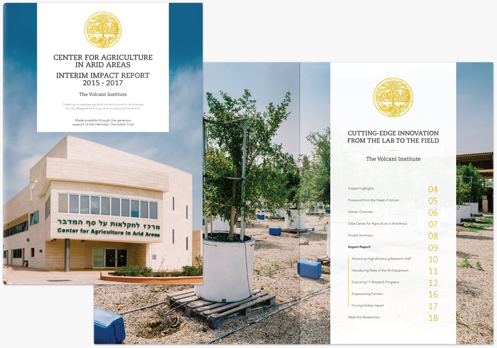 Annual-Report-Michael-Fine-Designs