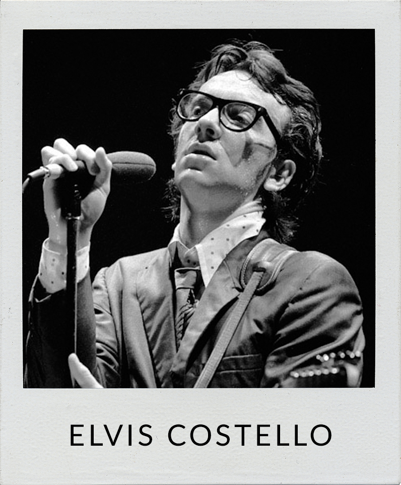 Elvis Costello photos