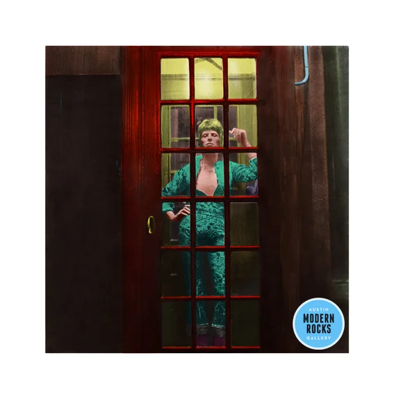 ziggy back cover.jpg