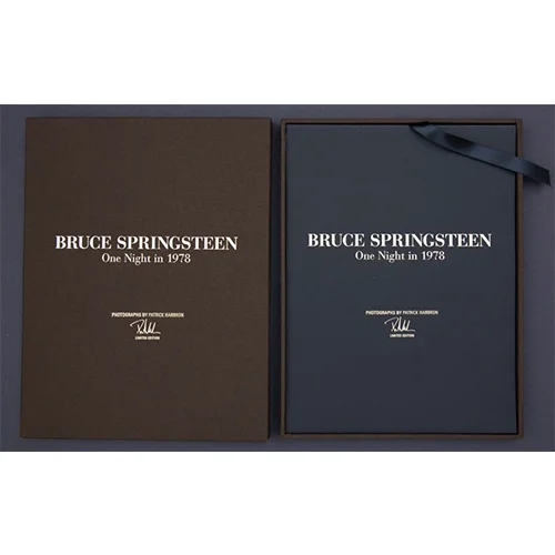 Harbron Springsteen covers.jpg