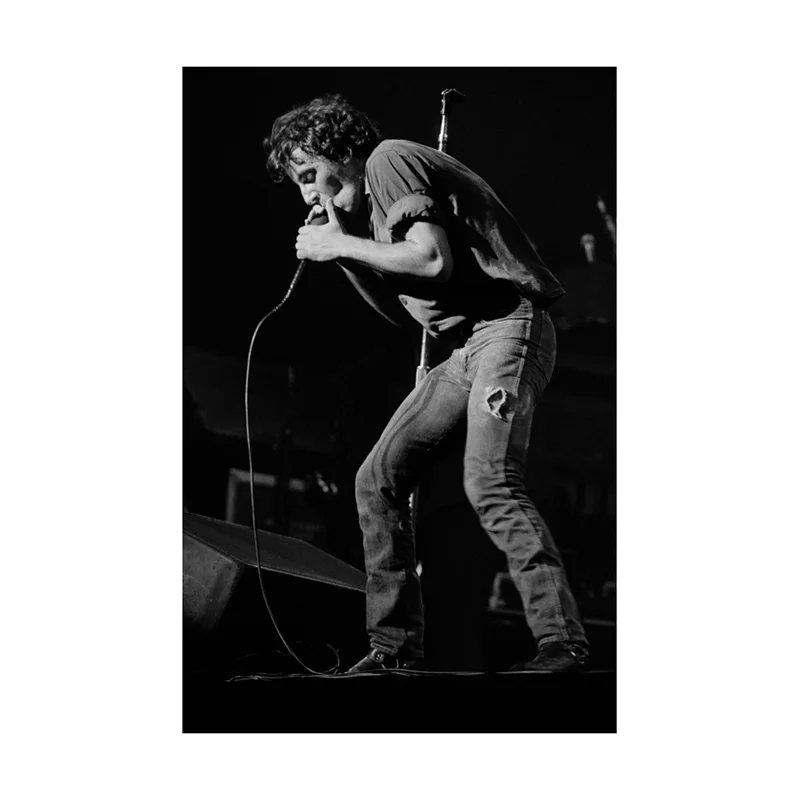 Harbron Springsteen print 4.jpg
