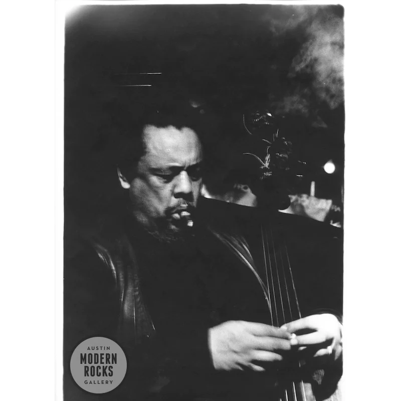 Charles Mingus by Herb Nolan
