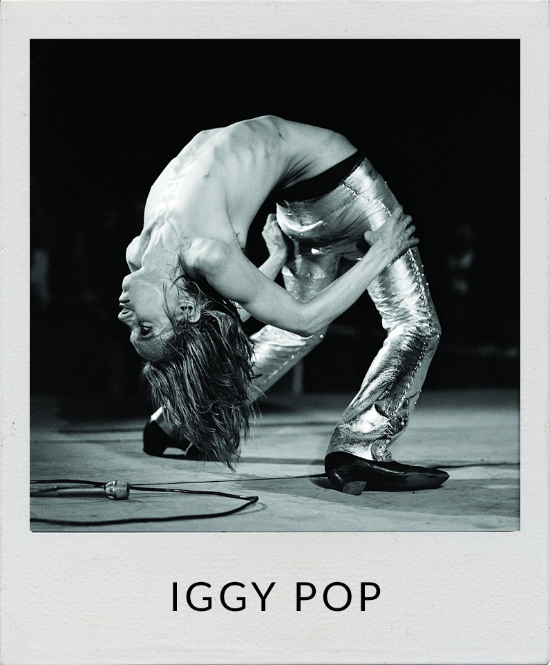 Iggy Pop Photos