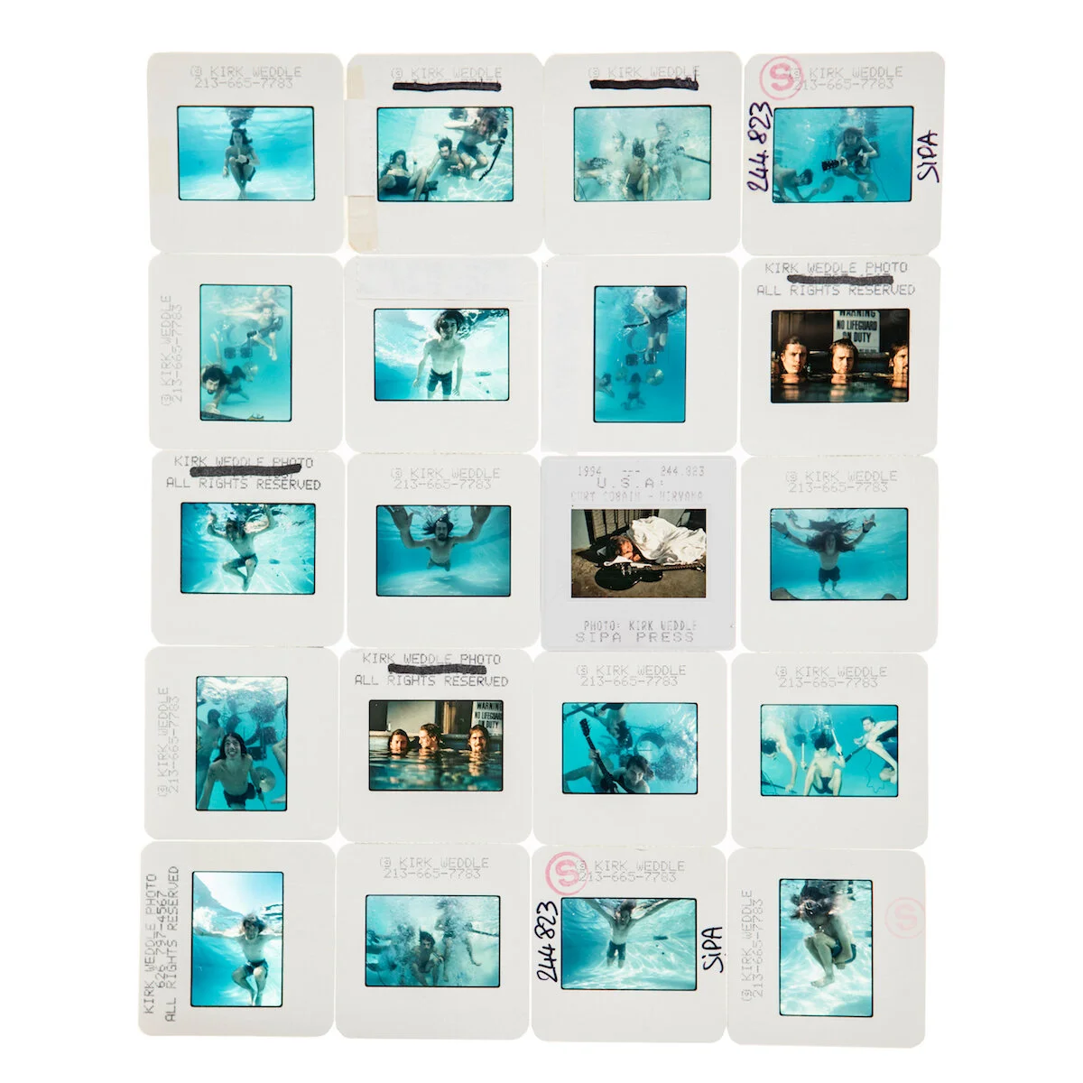 Weddle Nirvana Slides instasquare.jpg