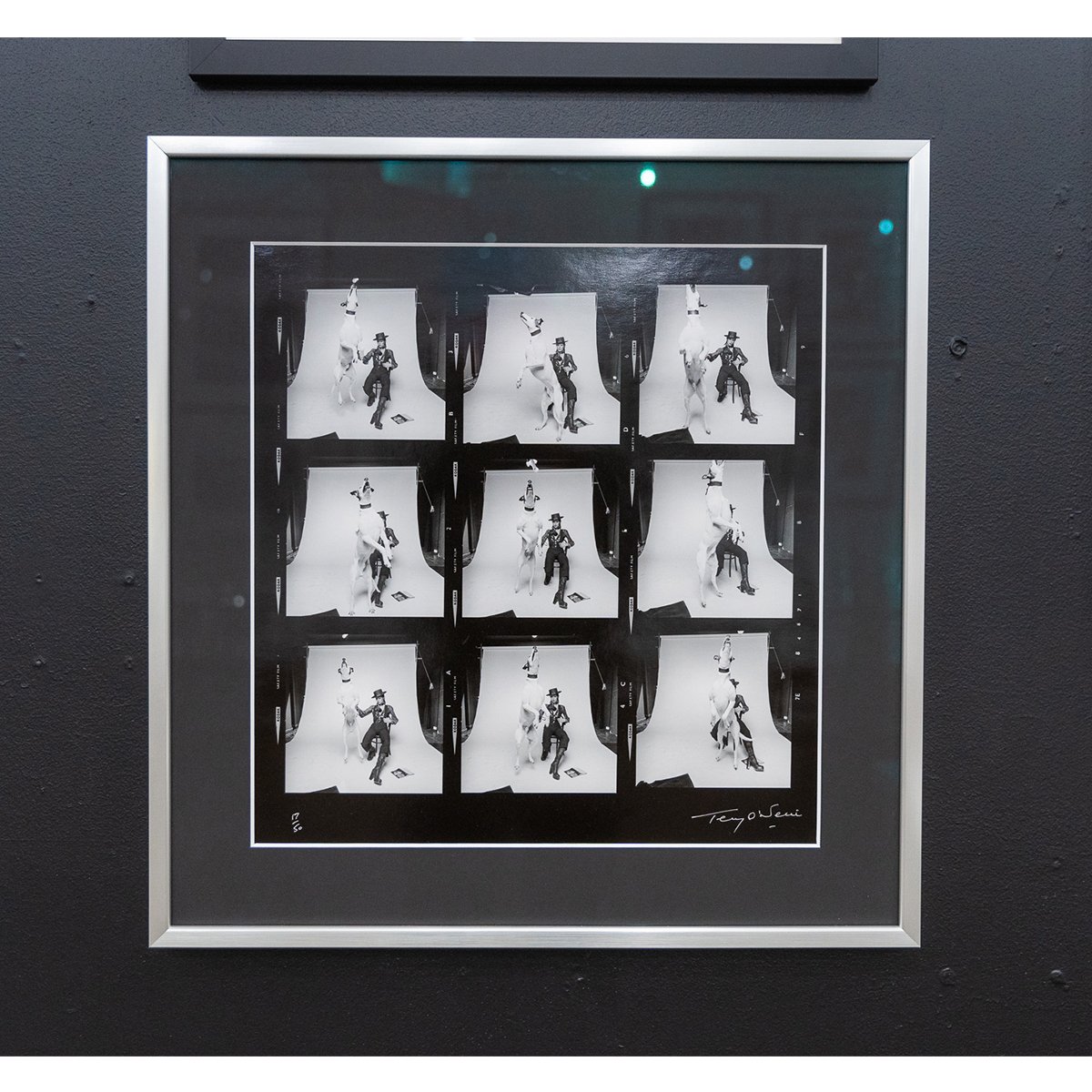 Diamond Dogs framed.jpg