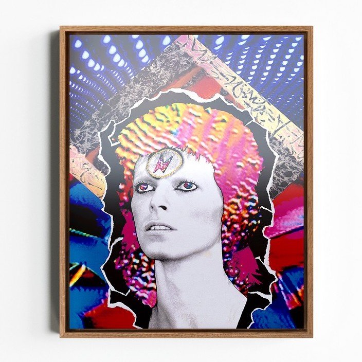 THE MOONAGE DAYDREAM COLLECTION - Ziggy Rip Art