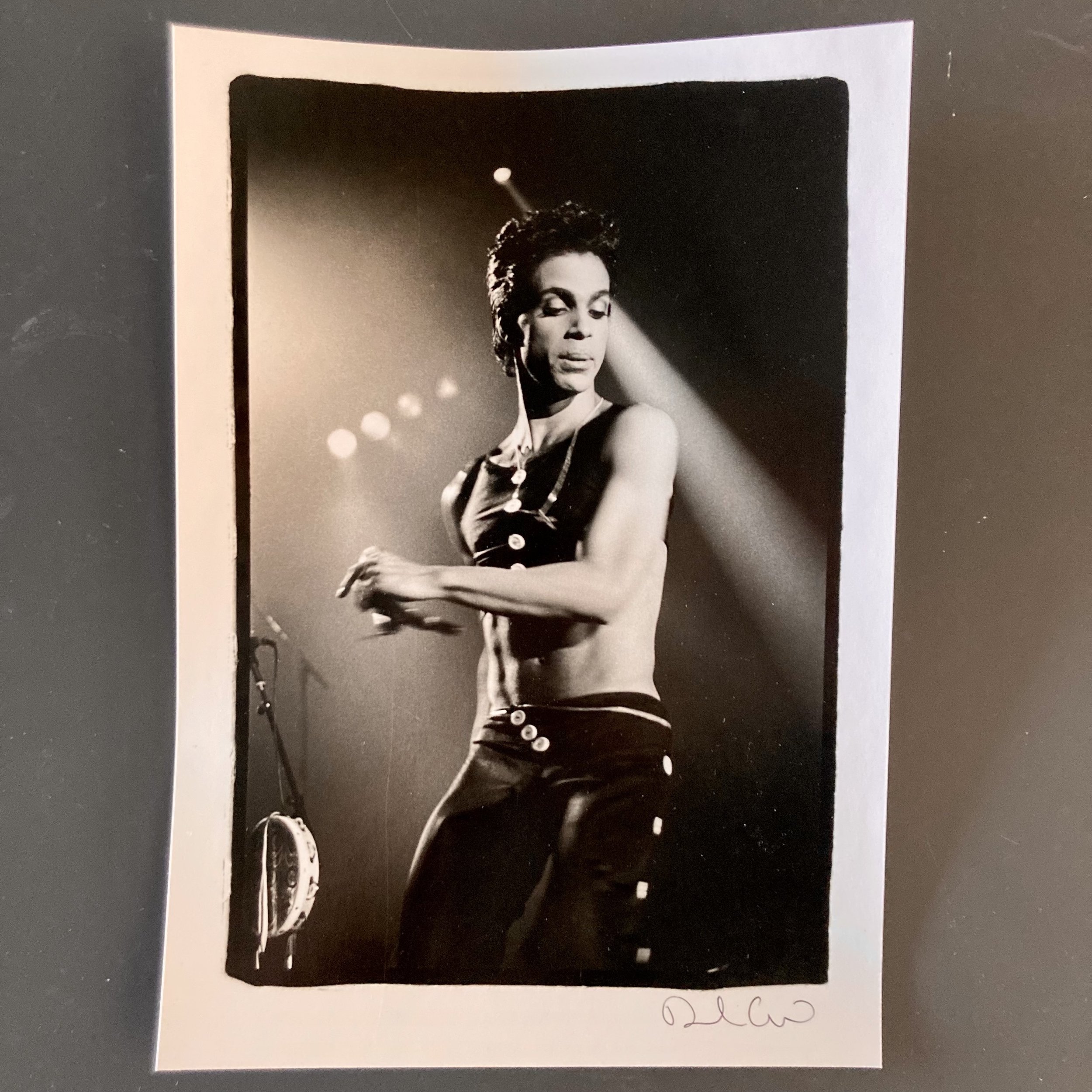 Prince - 12x8.5 - $450.jpeg
