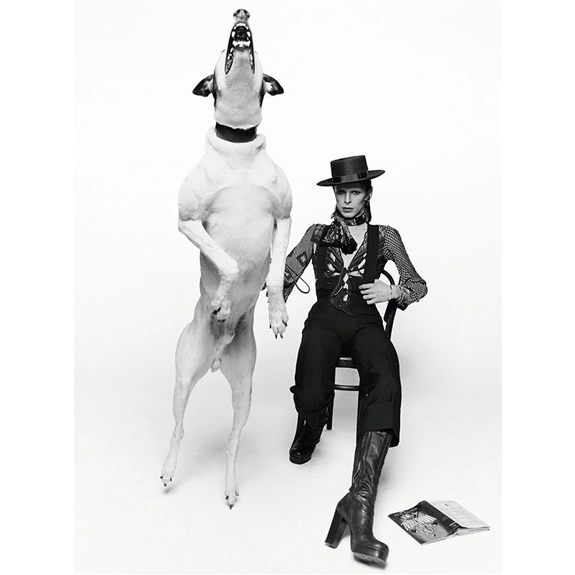 Limited Edition Fine Art Print – Signed by Elton John & Terry O 