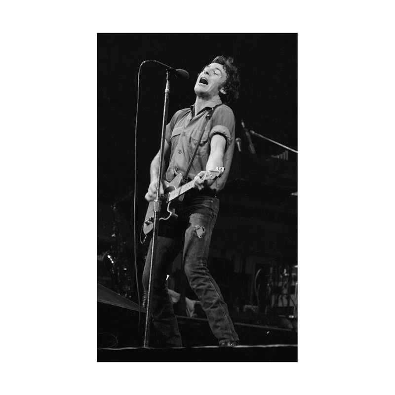 Harbron+Springsteen+print+5.jpg
