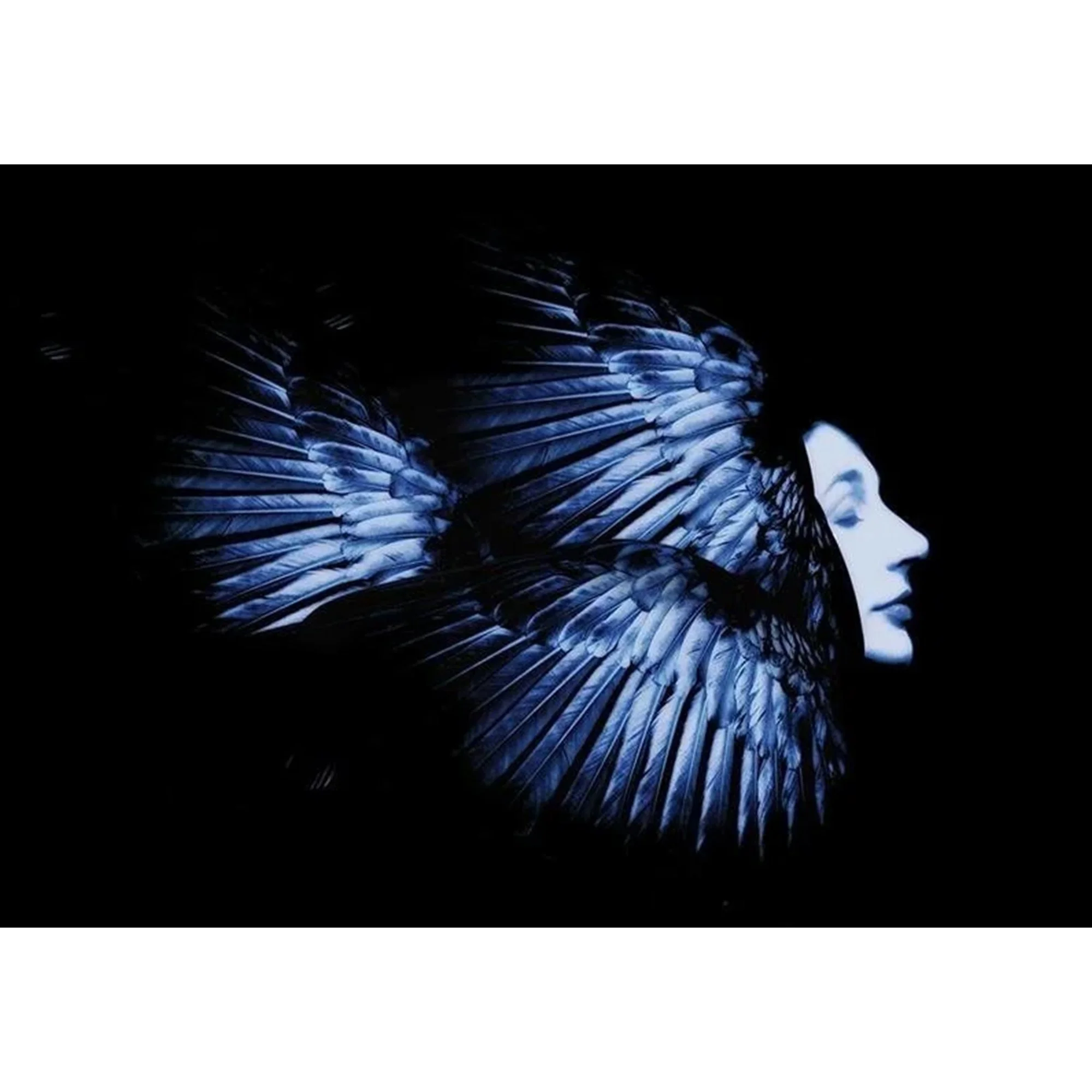 Kate Bush BIRDFISH by Guido Harari