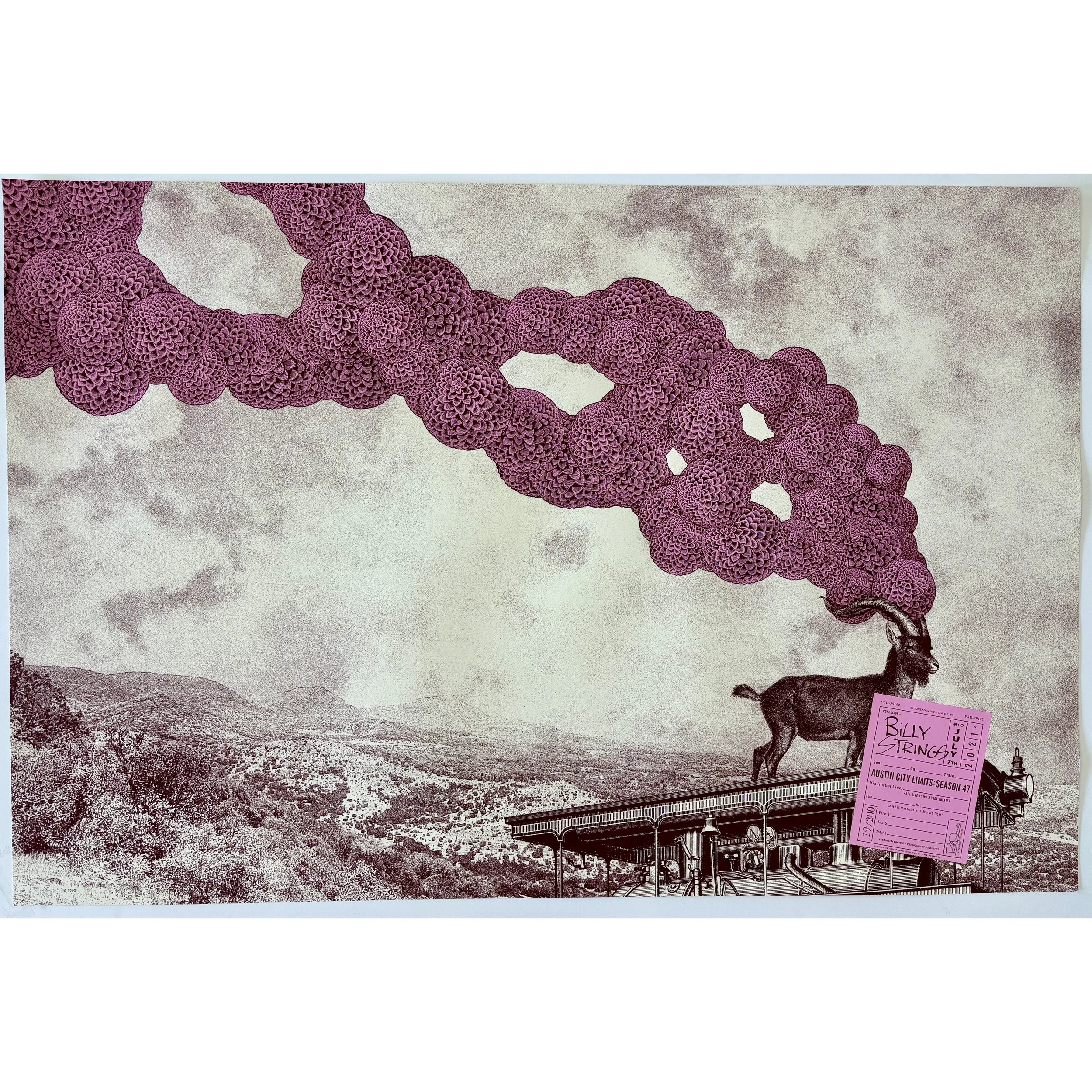 billy strings pink ACL poster.jpg