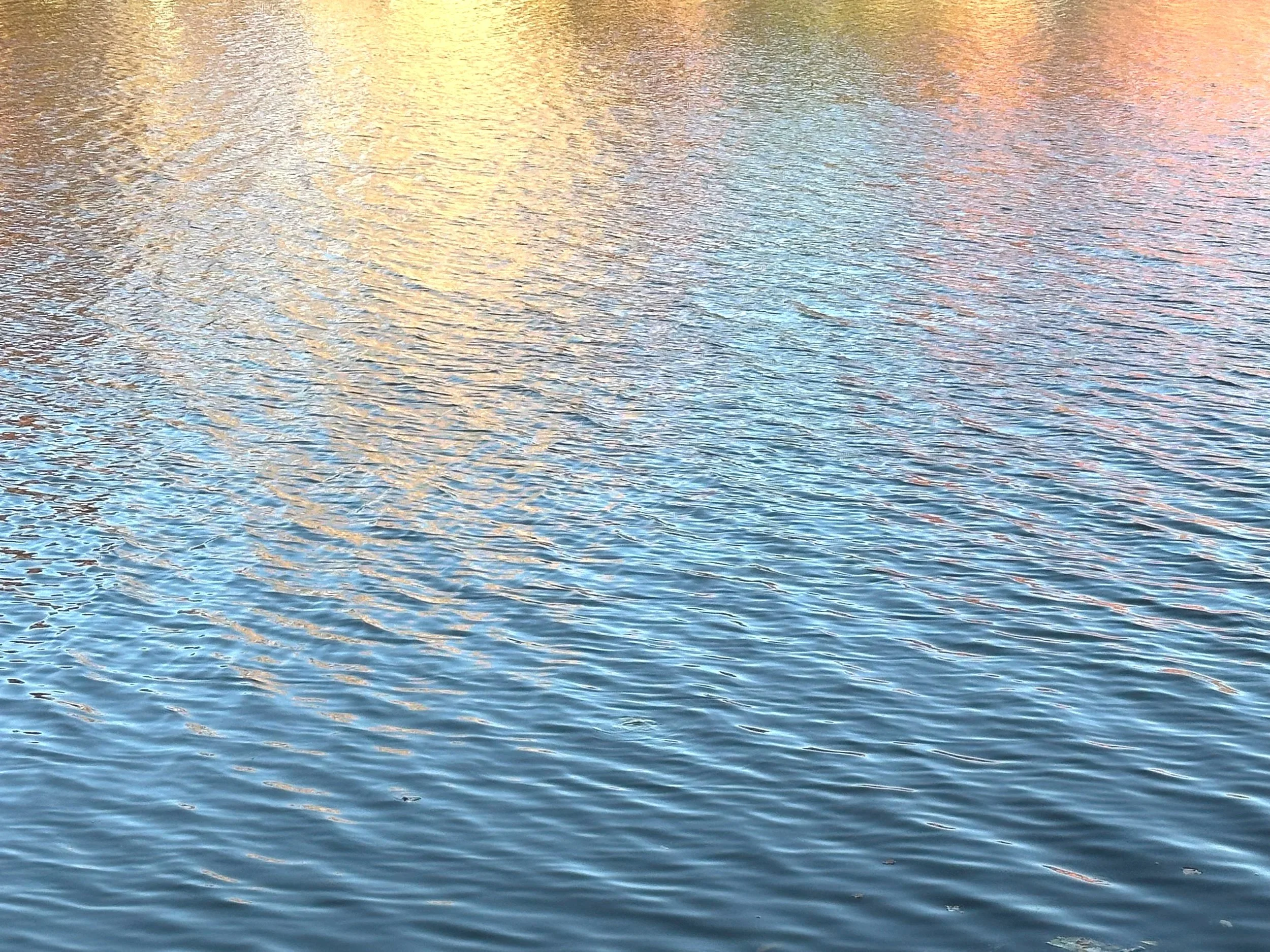 Lake.jpg