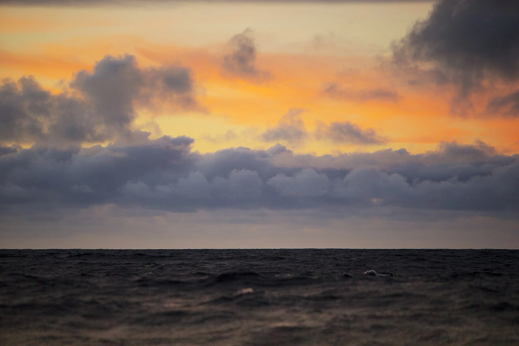 CSP140916_0047.jpg