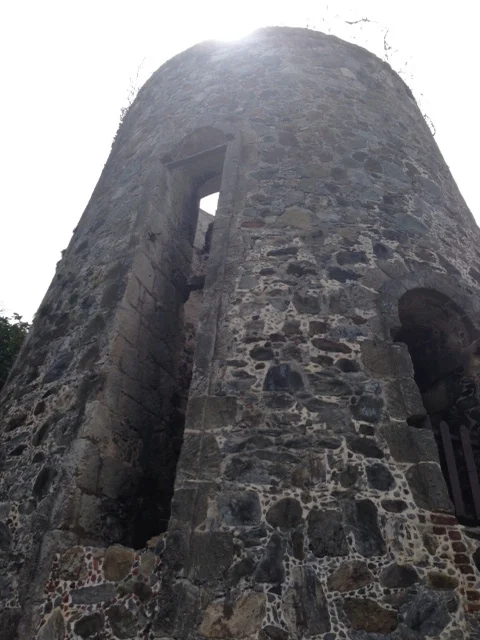 Windmill replaced the horses