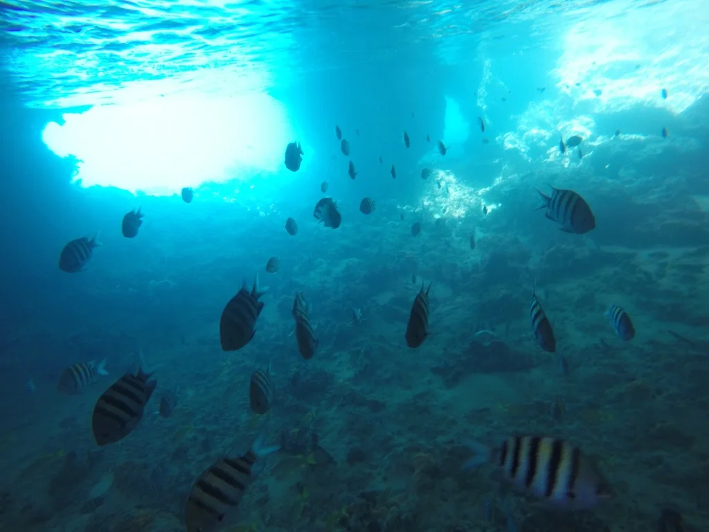 G0863559.JPG