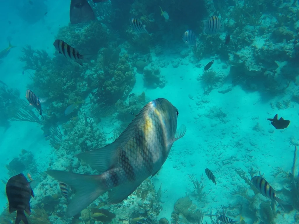 GOPR4300.JPG