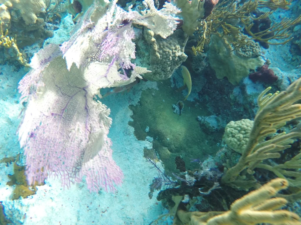 GOPR4333.JPG