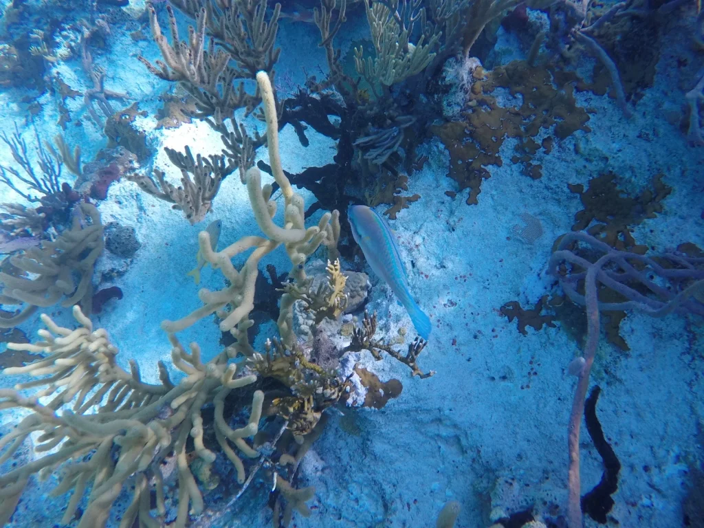 GOPR4332.JPG