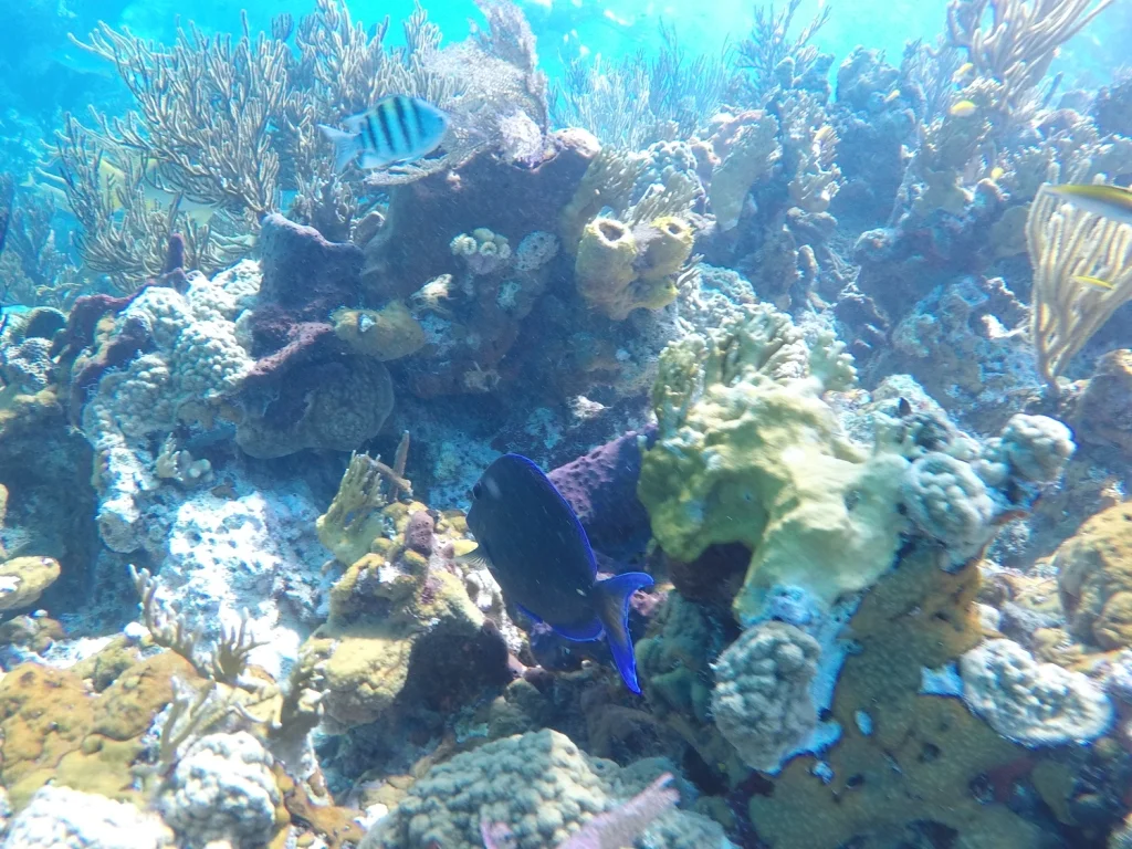GOPR4343.JPG