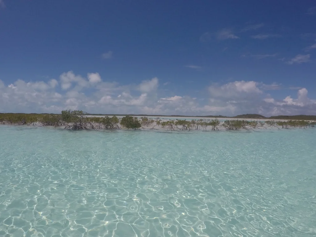 GOPR4424.JPG