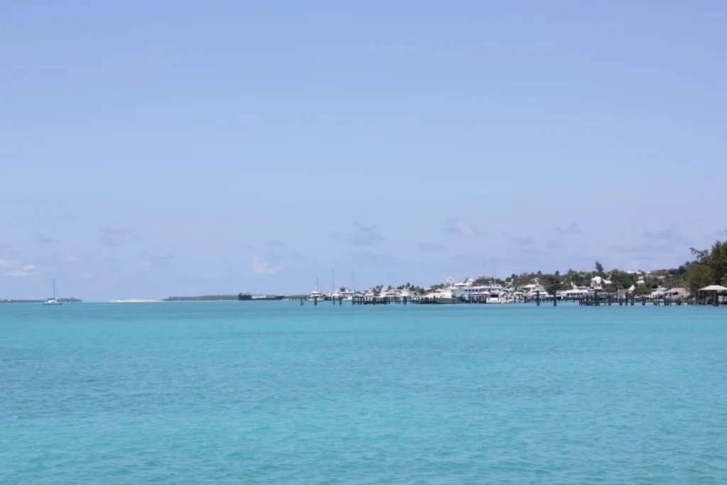 IMG_2204.JPG