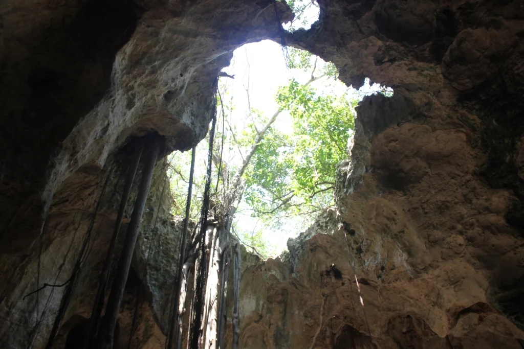 IMG_1788 - Copy.JPG