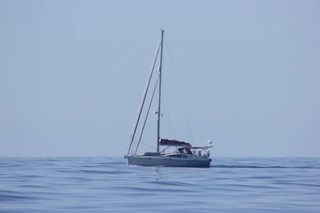 IMG_2348.JPG